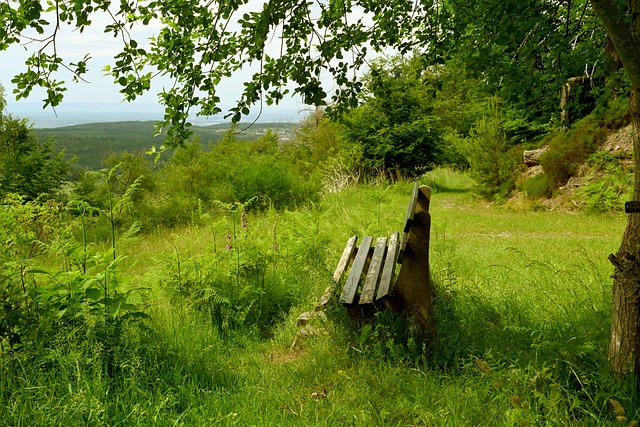 AR